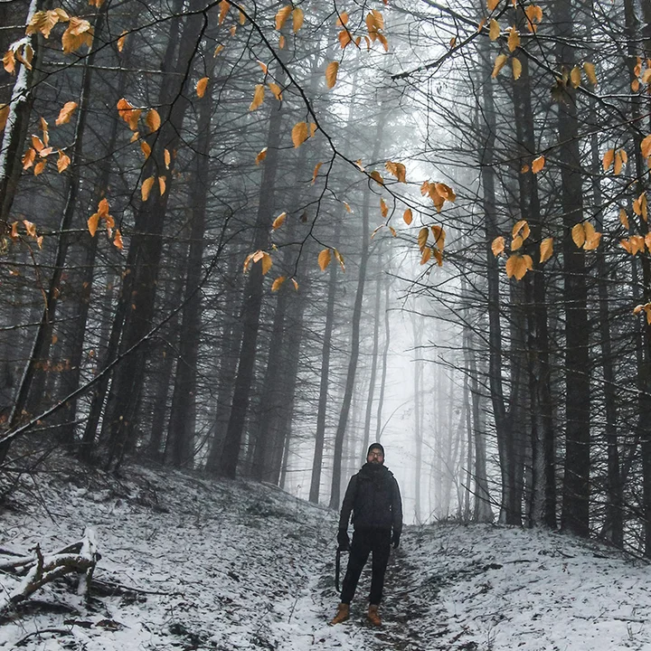 Avatar Max Mustermann